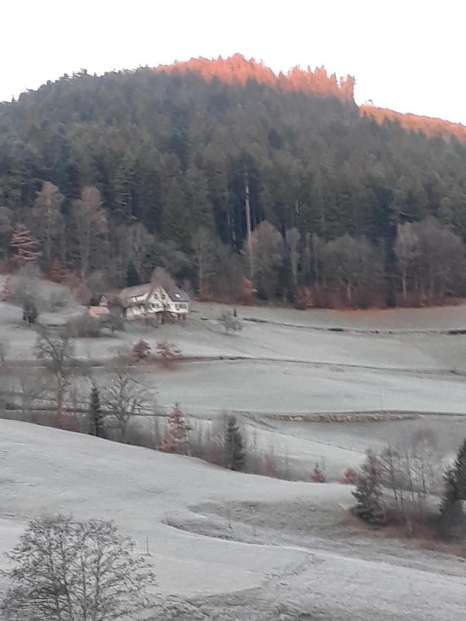 Isoldes Landhaus Baiersbronn Exterior photo